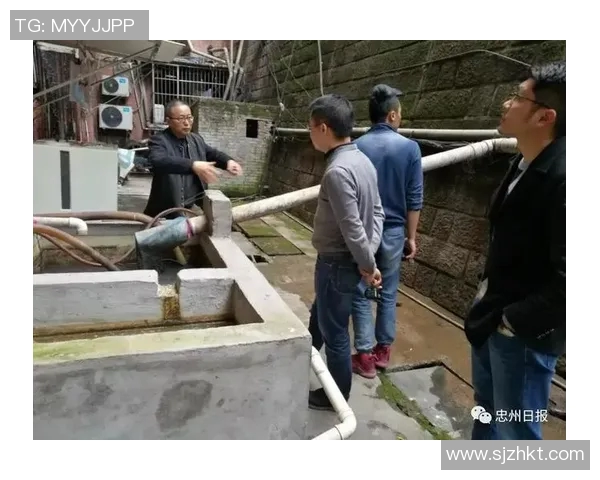 水原与忠州市民精彩对决直播全程回顾与赛后分析